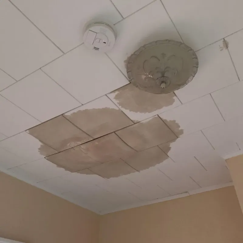 Ceiling Water Damage Repair in Conway Springs, KS