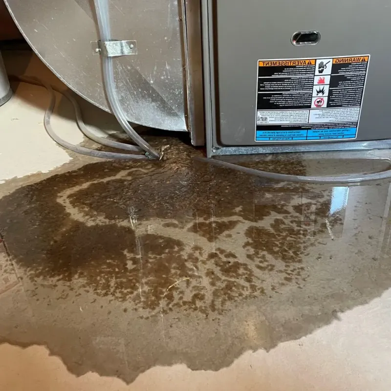 Pipe Burst and Leak Restoration in Conway Springs, KS
