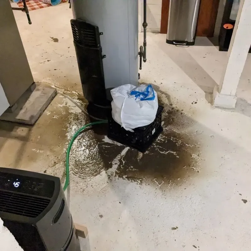 Sewage Backup Cleanup Service in Conway Springs, KS